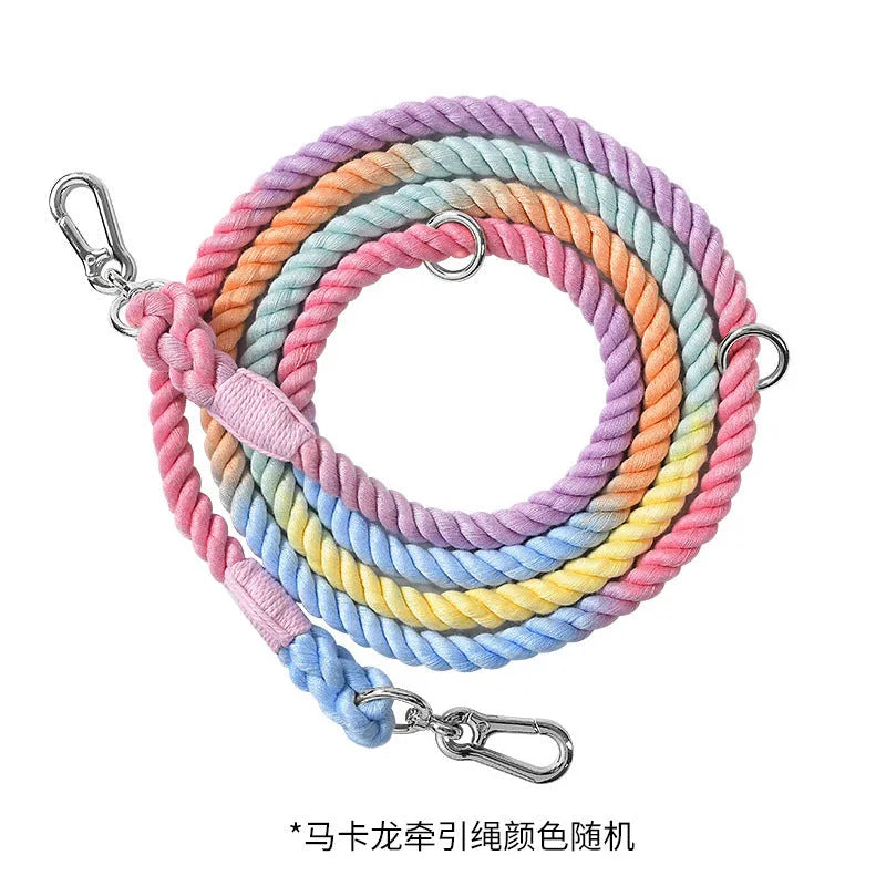 Woven rainbow coloured dog leash with clips at both ends, shown in a choice of colours with silver or gold fittings.