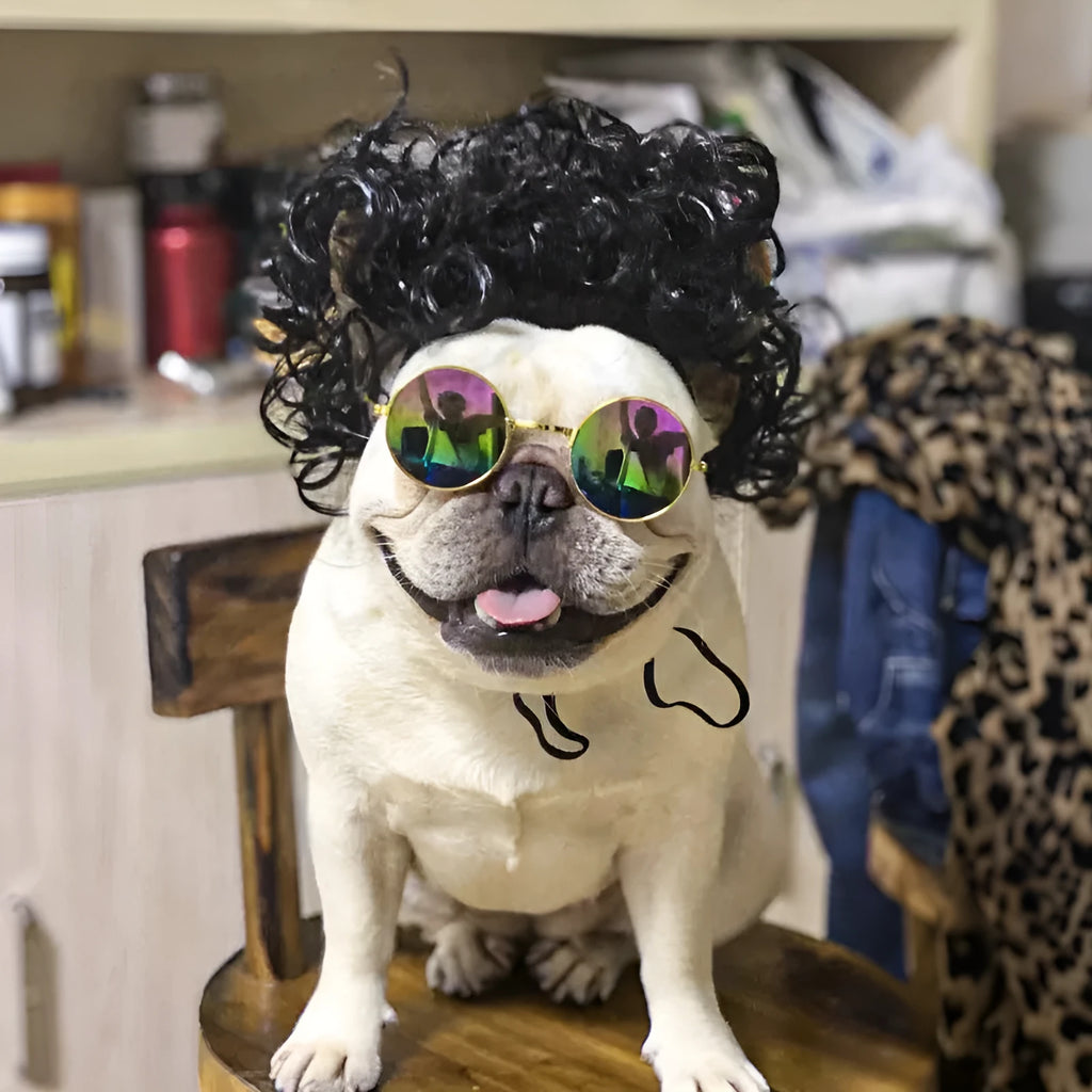 Adjustable pet wig sheath costume accessory on dog mannequin head showing nylon fibre construction