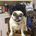 Adjustable pet wig sheath costume accessory on dog mannequin head showing nylon fibre construction