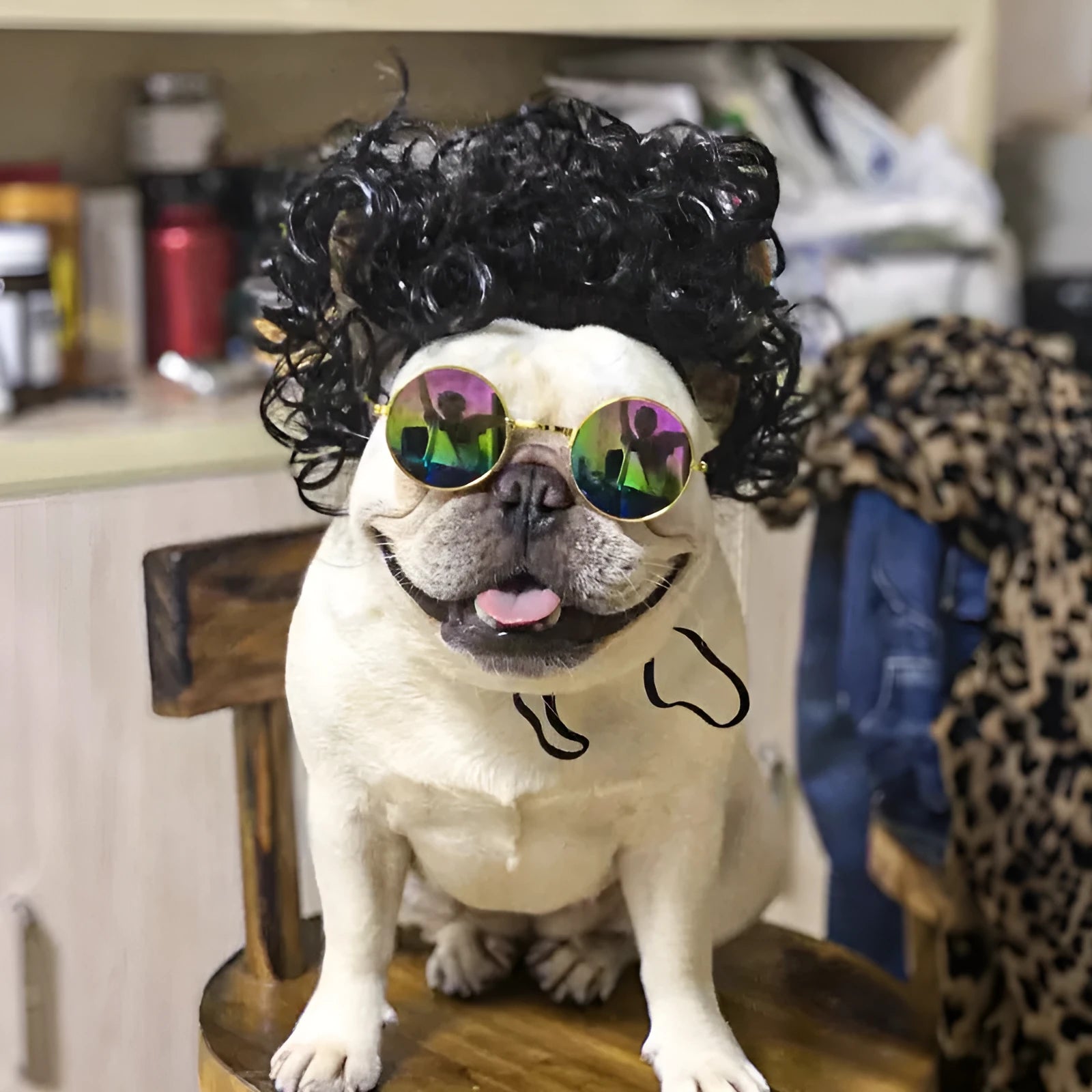 Adjustable pet wig sheath costume accessory on dog mannequin head showing nylon fibre construction