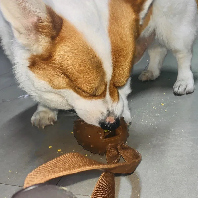 Coffee-brown TPR dog toy shaped like a bean with attached rope knot for dental cleaning and slow feeding.