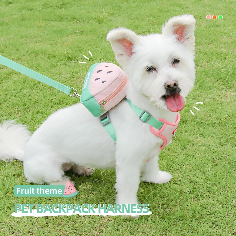 Green pet backpack and matching anti-slip chest strap set for a dog on a white background