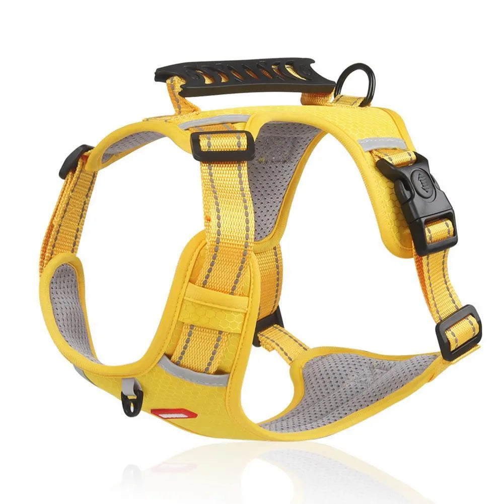 Orange adjustable nylon dog harness with reflective strips and mesh panels shown on dog
