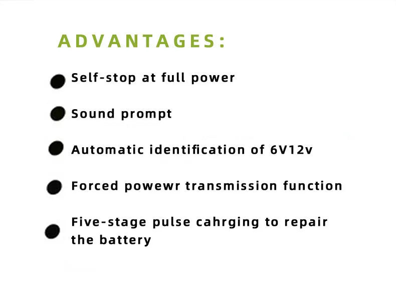 BT-168 12V 24V car battery charger with American plug for lead-acid batteries