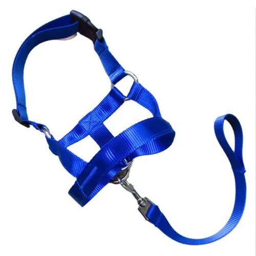 Nylon dog muzzle cover in red, blue, and black for leash training, sizes S to XXL