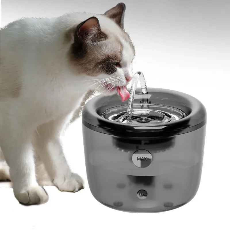 Grey pet water fountain with automatic circulating filter and large capacity reservoir