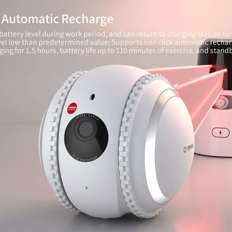 White pet companion robot with automatic recharge for cat monitoring and interactive play