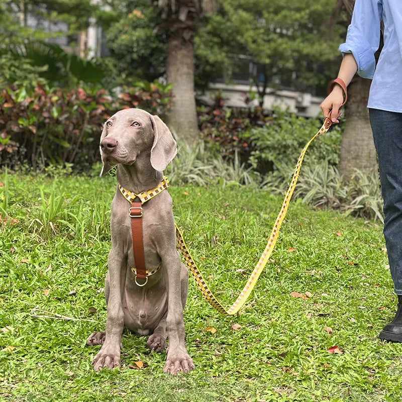 I-shaped pet chest harness traction rope set with collar and 150cm rope in leather rib fibre