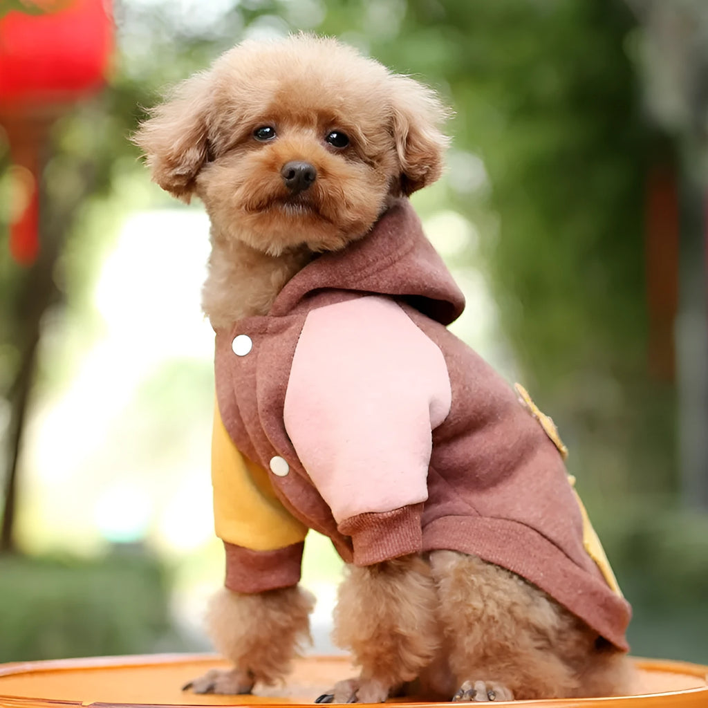 Brown cotton pet sweatshirt for a dog, showing soft knit fabric and casual fit.