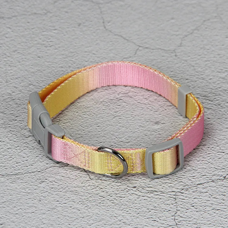 Gradient colour dog leash set showing nylon collar, harness, and matching lead in pink and yellow combination