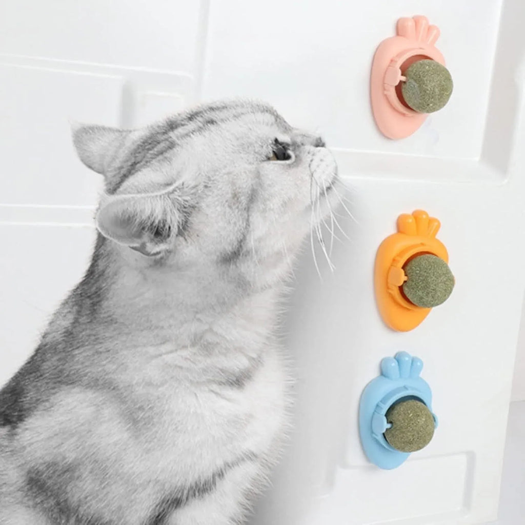 Blue carrot-shaped catnip ball with self-adhesive sticker for wall mounting and feline dental care