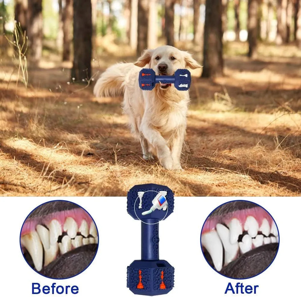 Black rubber hollow dumbbell dog chew toy for aggressive chewers with 3D particle texture