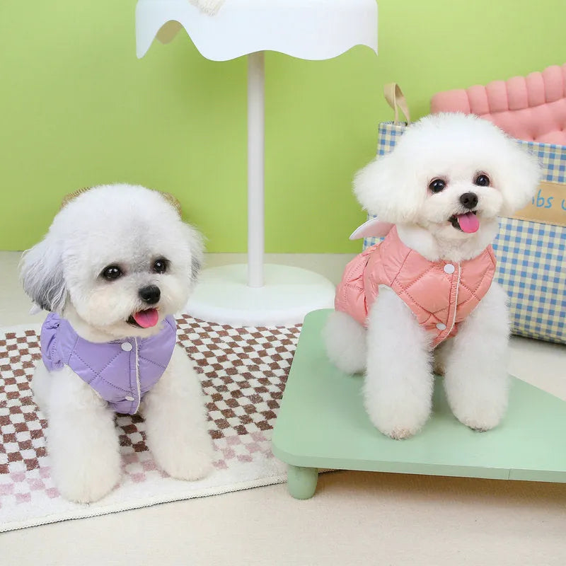 Small dog wearing pink or purple thickened cotton-style skirt - pet clothing in sizes XS to XL