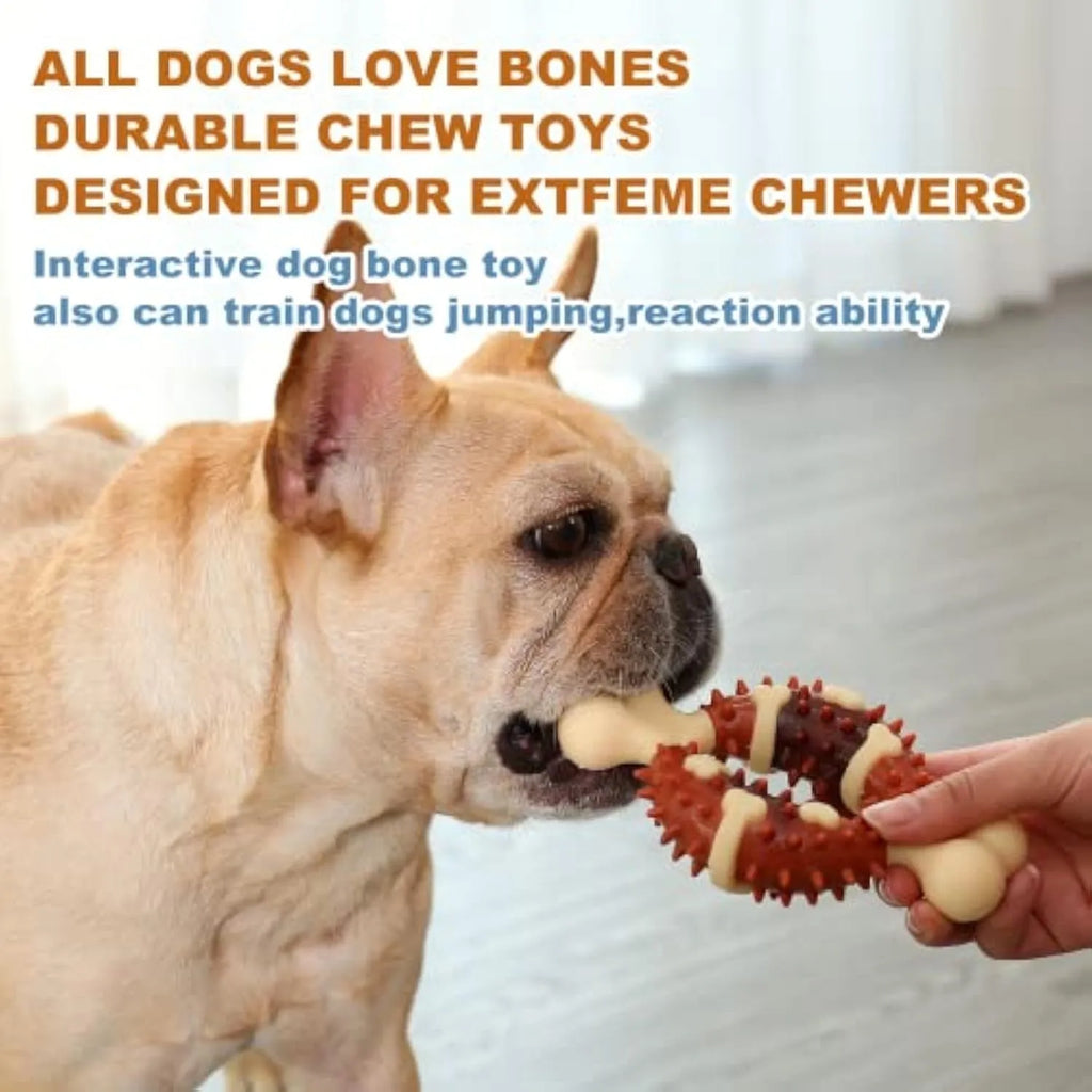 Natural rubber bone-shaped dog chew toy for teeth cleaning and anxiety relief in two sizes