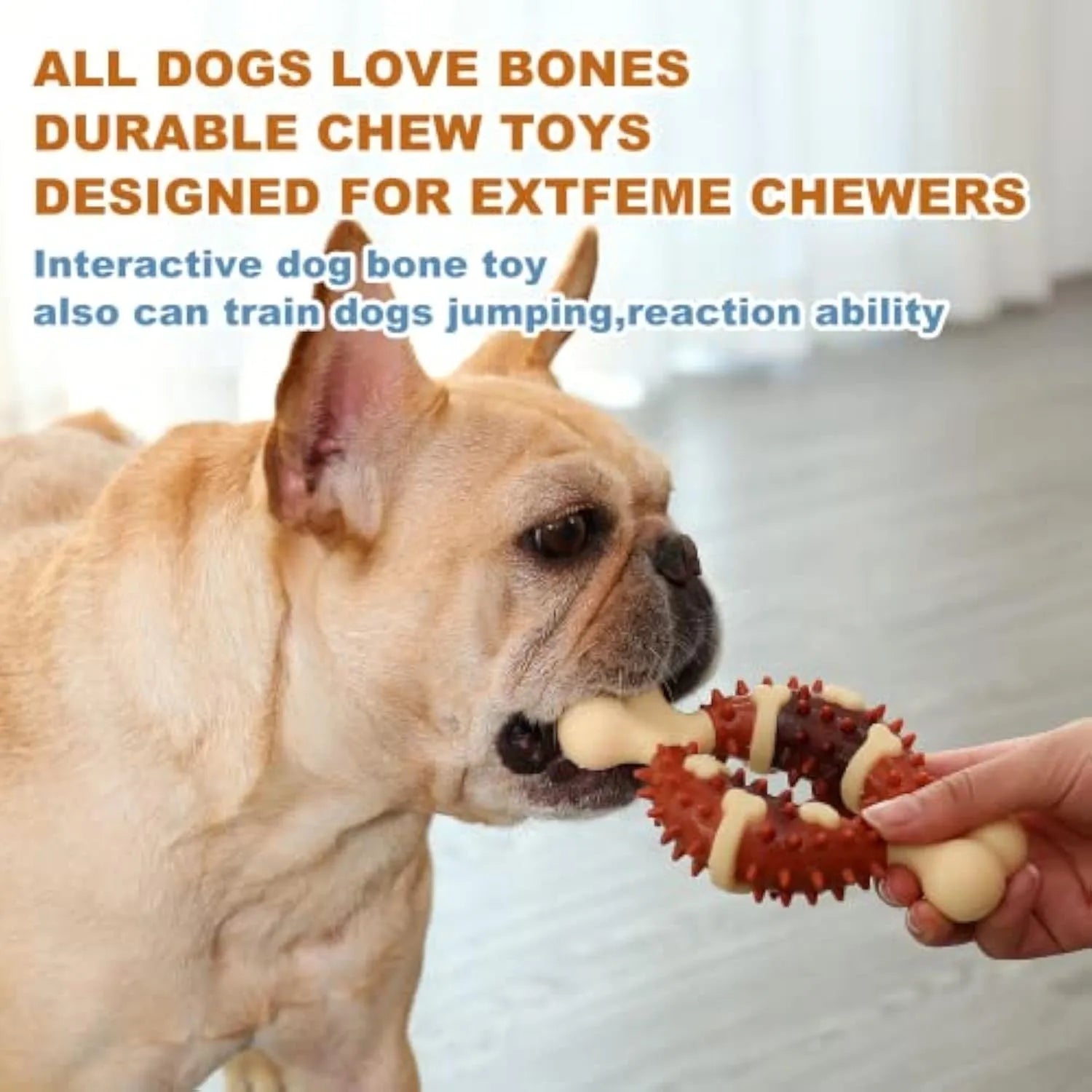 Natural rubber bone-shaped dog chew toy for teeth cleaning and anxiety relief in two sizes