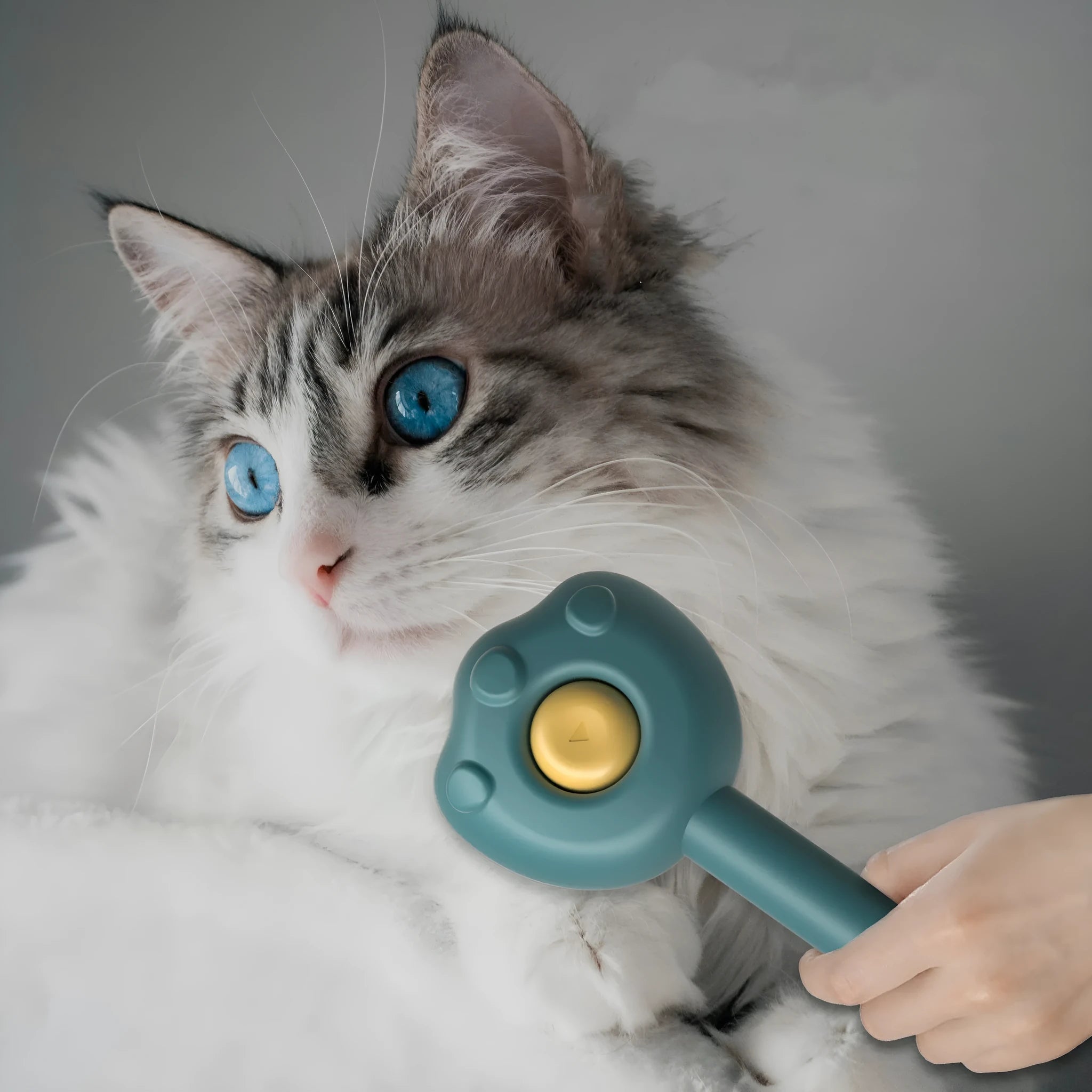 Blue self-cleaning pet grooming comb for cats with compact 183 mm size