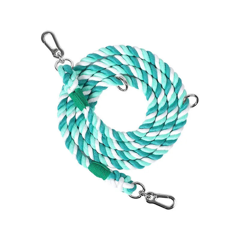 Woven rainbow coloured dog leash with clips at both ends, shown in a choice of colours with silver or gold fittings.