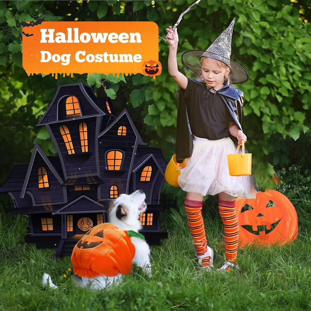 Orange pumpkin plush Halloween costume for small to medium dogs with pullover design