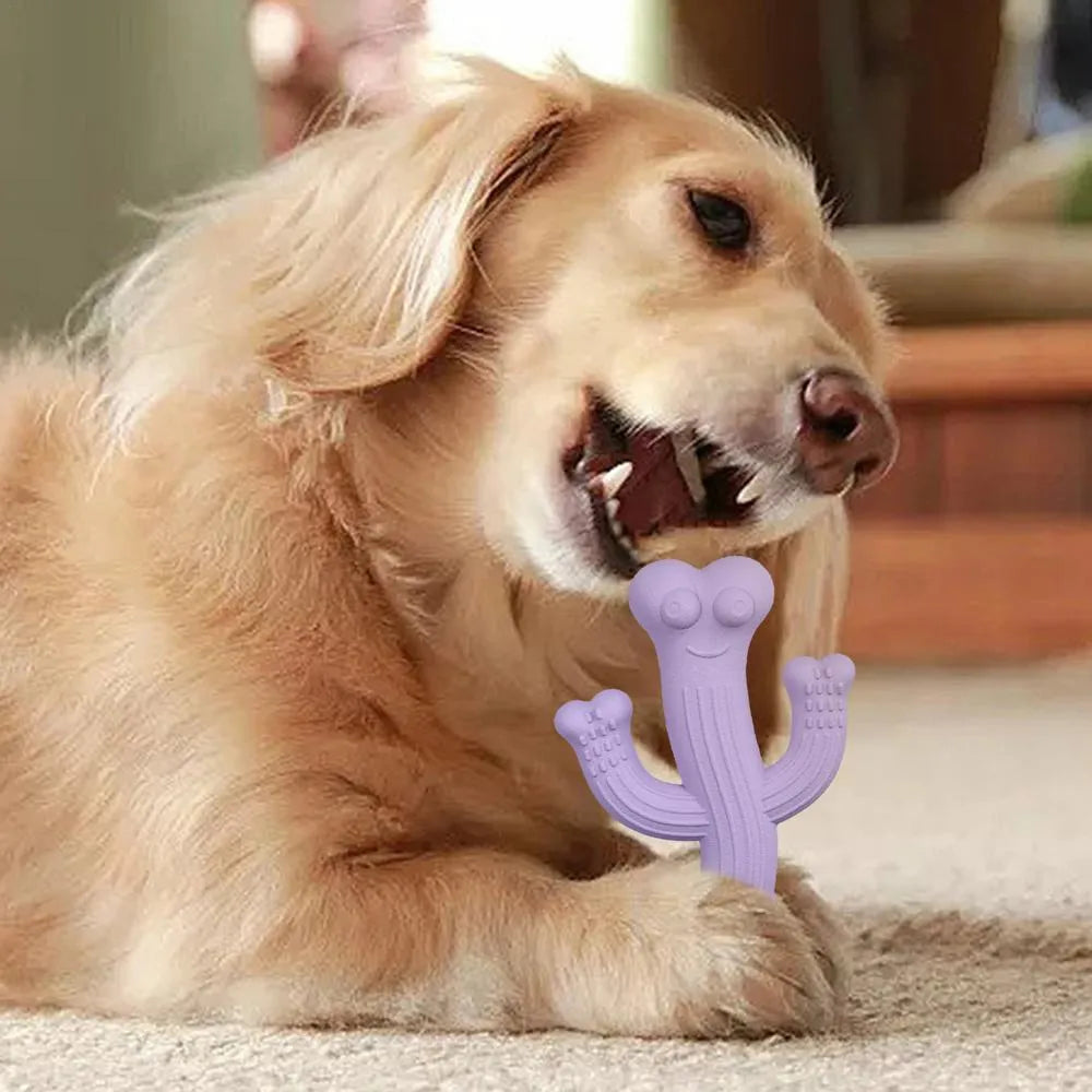 Cactus-shaped dog chew toy in bamboo fibre and rubber, shown in beige, blue, and purple colours.