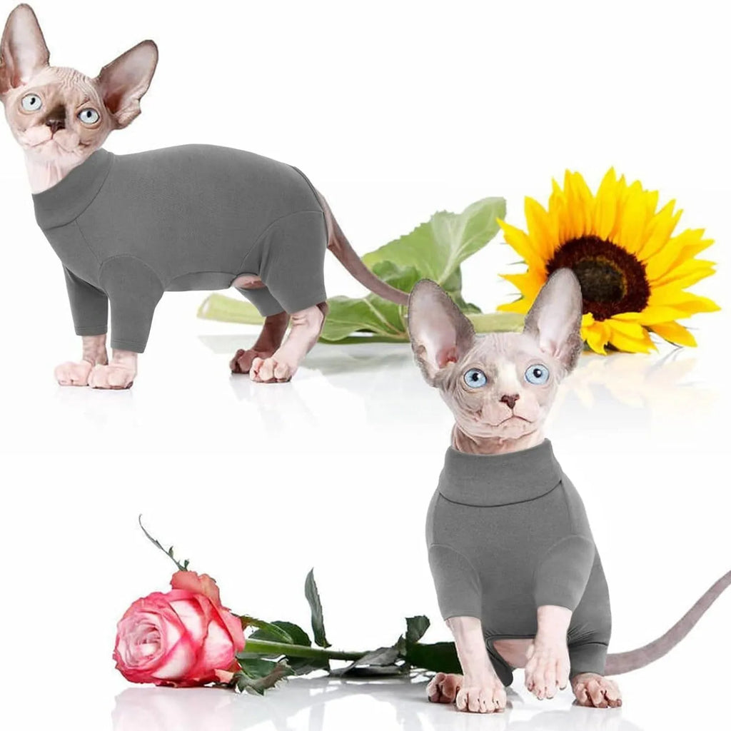 Hairless cat wearing grey turtleneck sweater with sleeves and leg openings