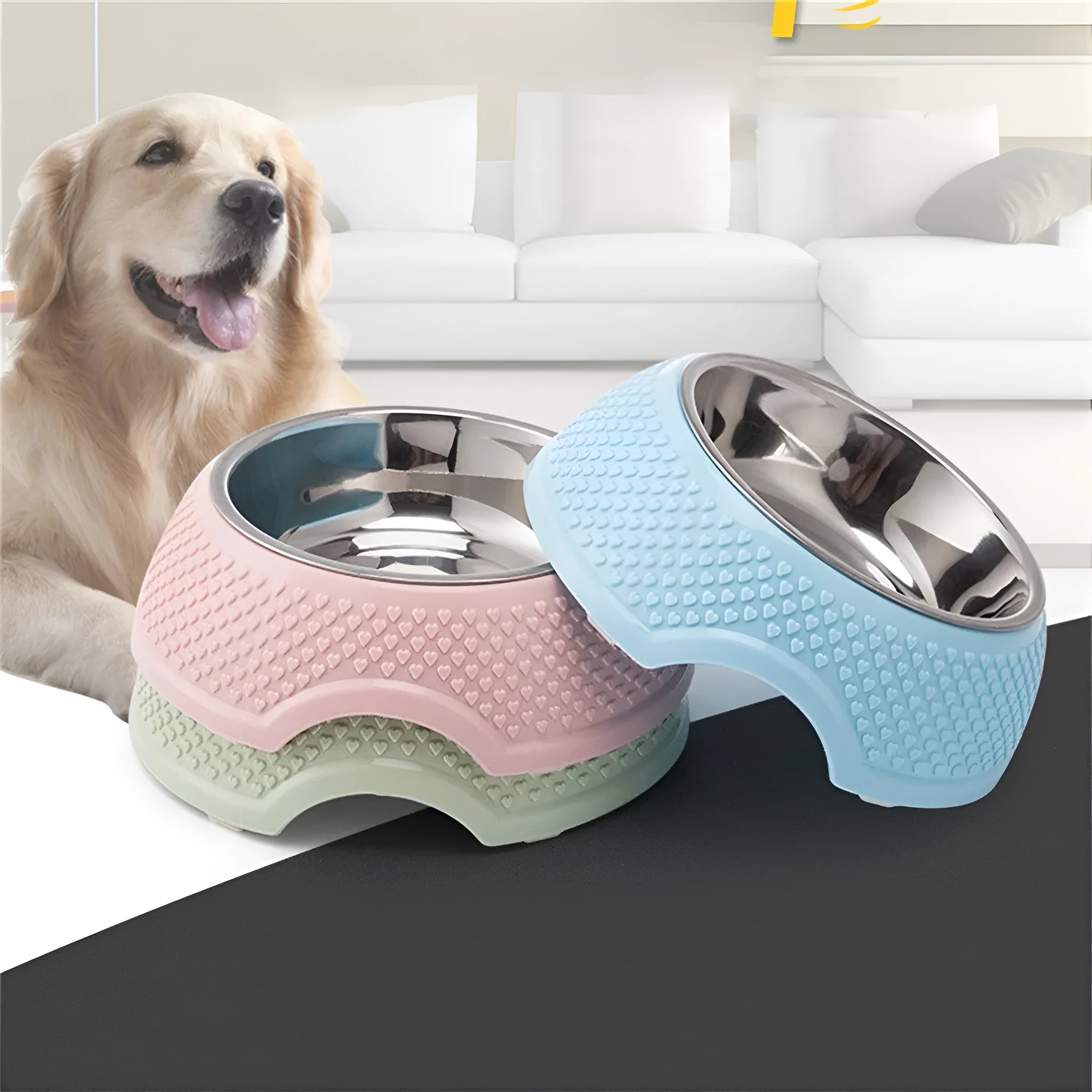 Stainless steel pet bowl with non-slip base in blue, green or pink for cats and dogs