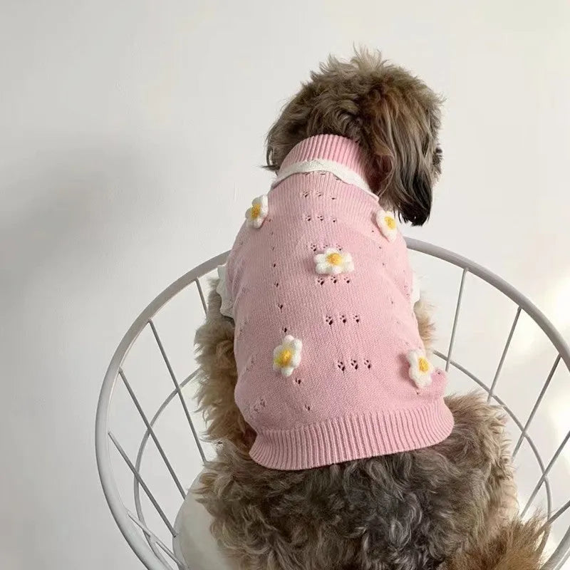 Green floral knitted dog sweater on a small dog, showing the pullover design and blossom pattern.