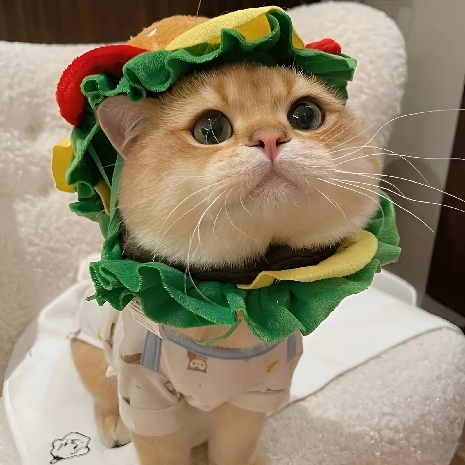 Yellow burger bun hat with green lettuce trim for cat costume wear