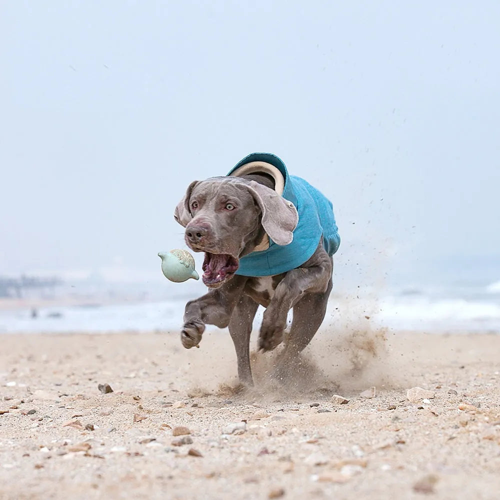 Cold-proof dog vest in rose red, light blue, or grey polyester for medium to large dogs