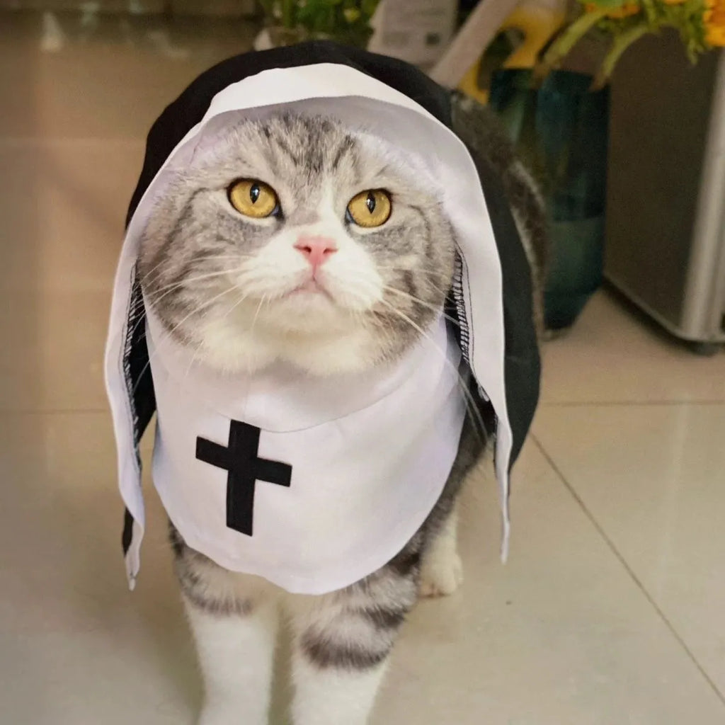 Black and white nun costume cloak on a small dog, showing the pullover design.