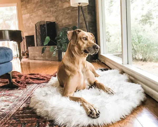 Pet dog plush mat in beige with soft plush surface on floor, available in multiple sizes for dogs up to 45kg