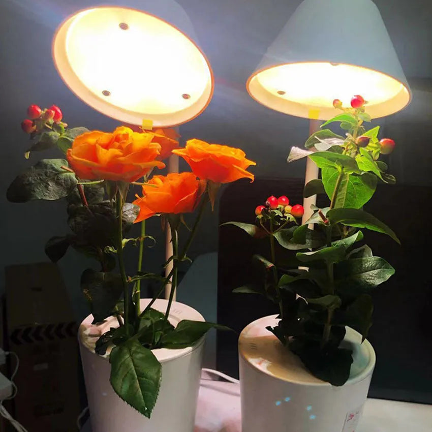 White plastic desktop hydroponic container for soilless plant cultivation.