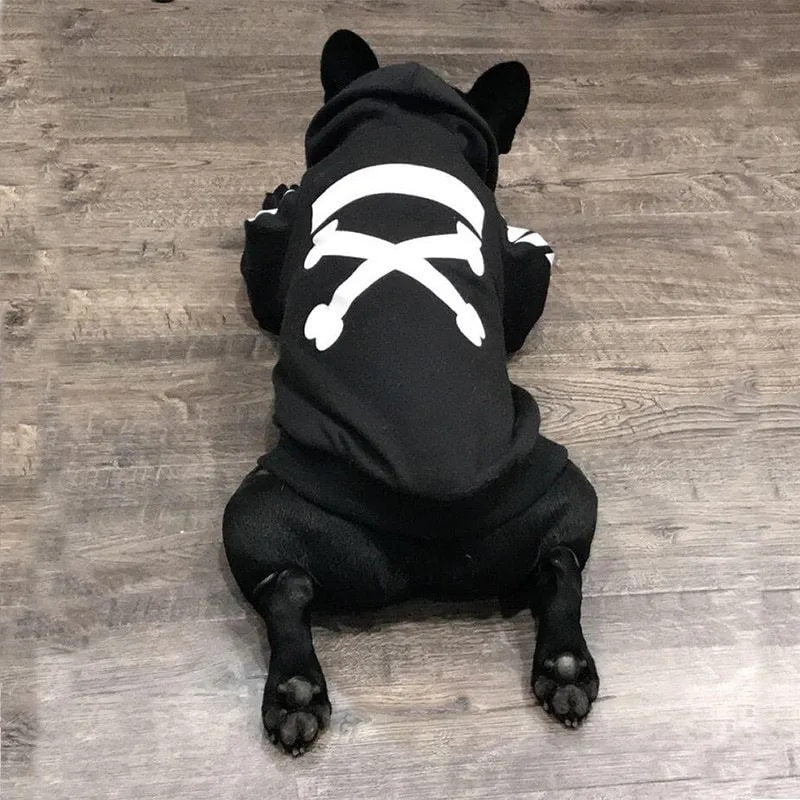 Winter dog jacket with hood, casual pet coat in black, side view on a dog