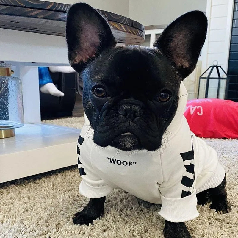 Winter dog jacket with hood, casual pet coat in black, side view on a dog