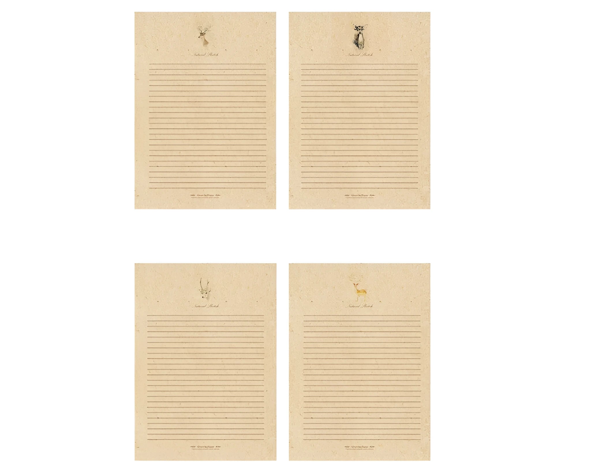 Fawn Kraft Stationery set of 10 sheets, 26 x 18.7cm, four colour options on display