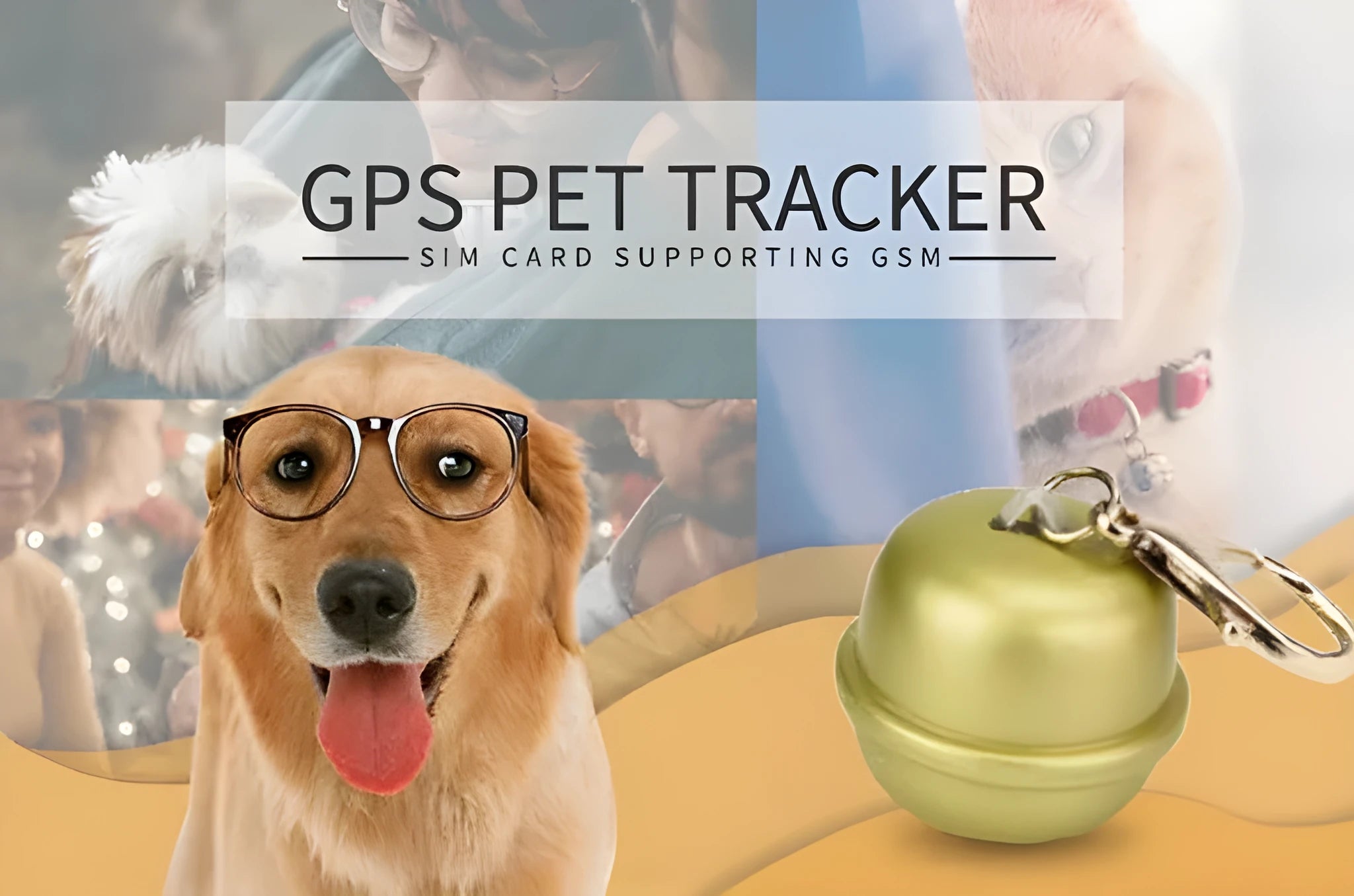 A black GPS tracking unit attached to an adjustable dog collar, showing the device screen.