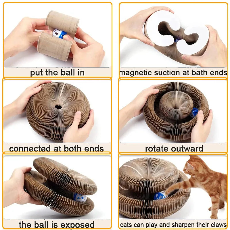 Pet magnetic folding organ toy cat scratch board in white with ball and menthol accessories on paper surface