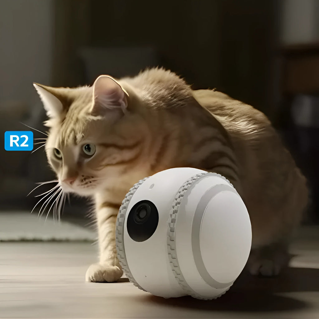 White pet companion robot with automatic recharge for cat monitoring and interactive play