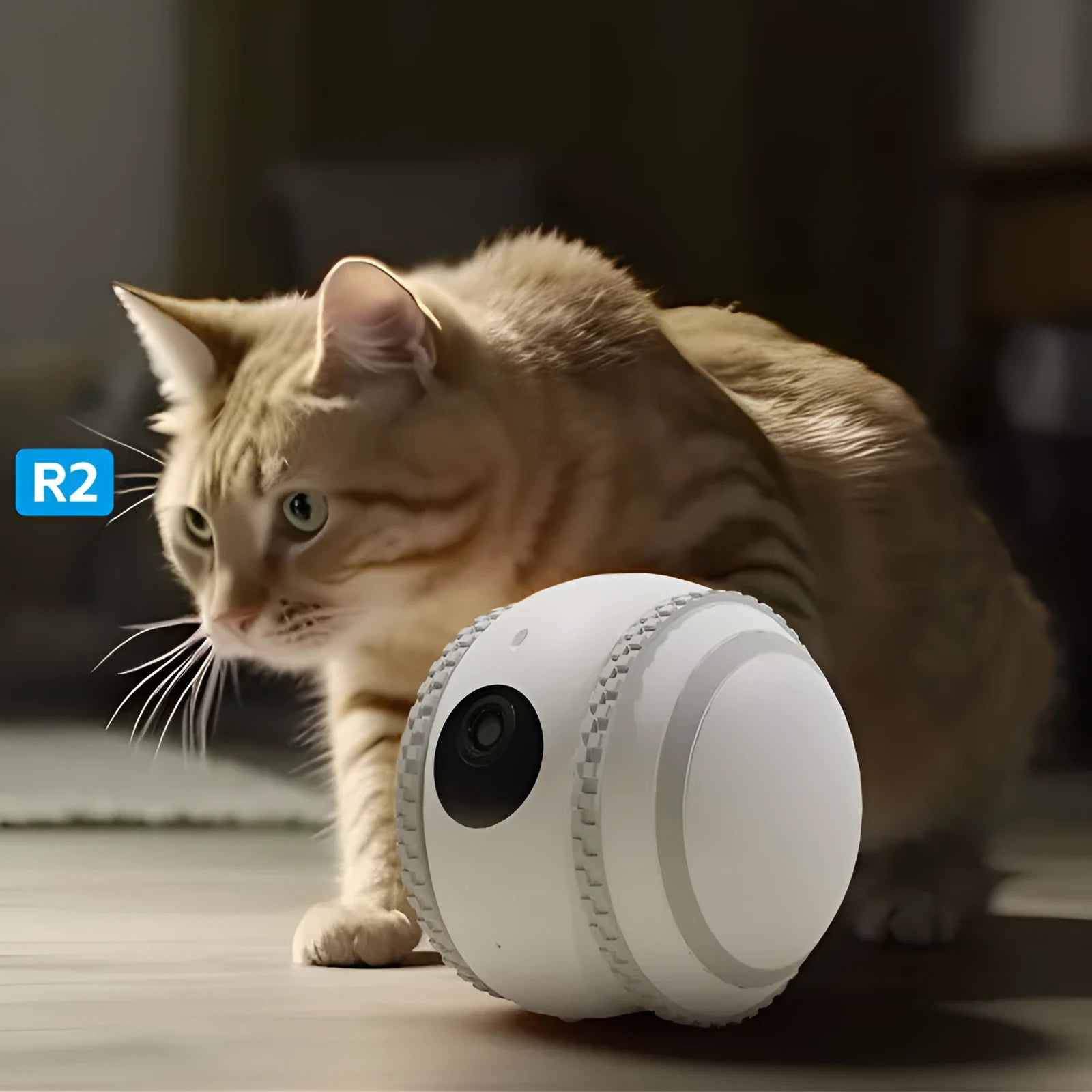 White pet companion robot with automatic recharge for cat monitoring and interactive play