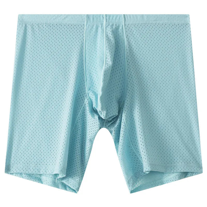 Men's transparent mesh underwear boxers in five colours with extended cut and mid-waist design