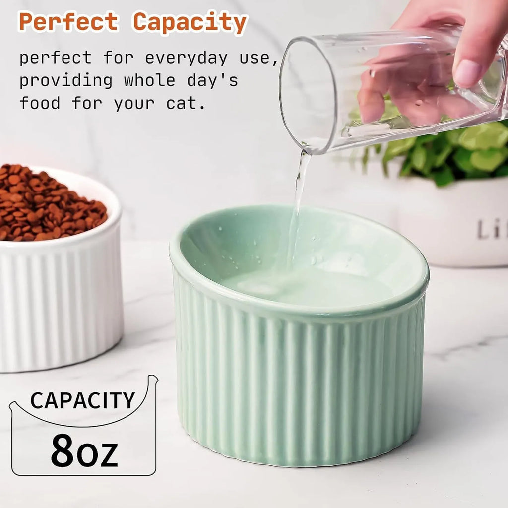 A ceramic elevated cat bowl with a tilted, round design shown in green, positioned on a floor.