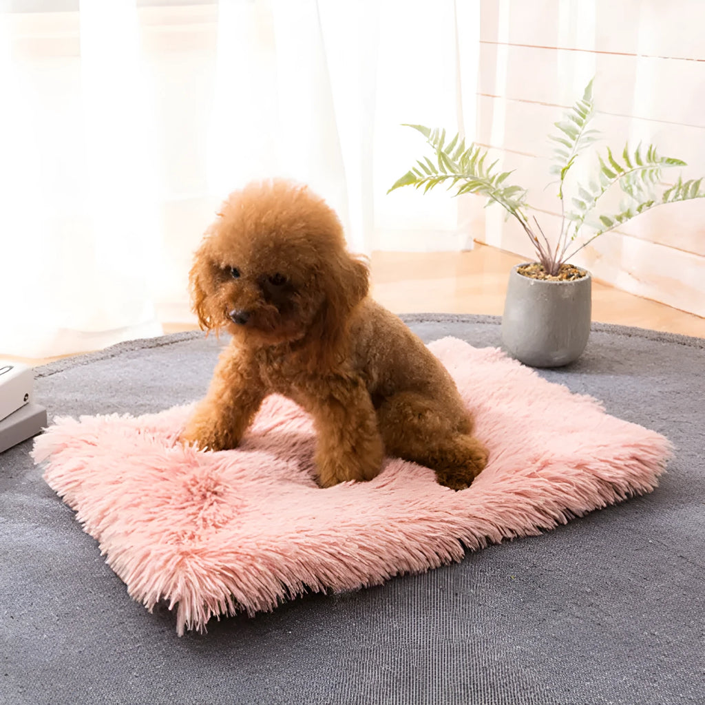Plush pet nest with non-slip base, water-resistant material, available in multiple sizes and colours