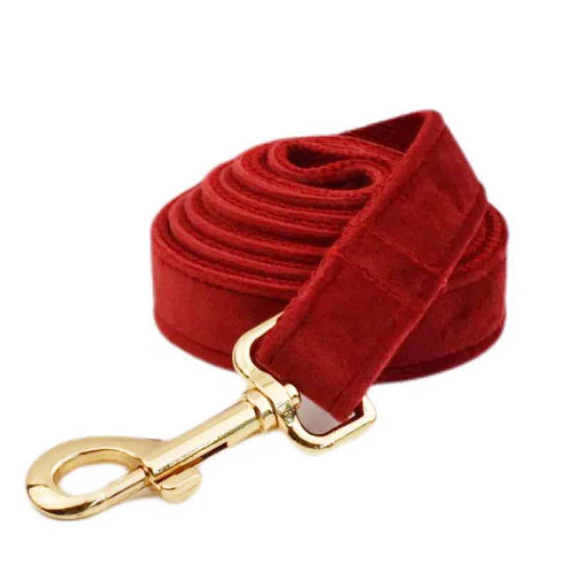 Complete dog collar and leash gift set with bow tie, vest and waste bag in festive colours