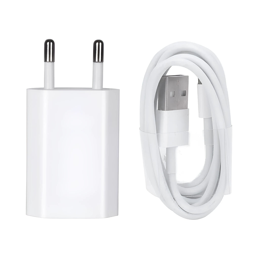 5V 2A USB travel charger with 1m cable compatible with iPhone and iPad models