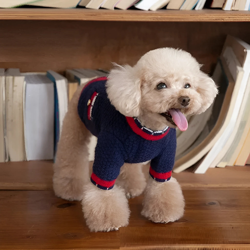 Blue knitted wool blend cardigan sweater for a dog, showing classic Bejirog style and cardigan opening.