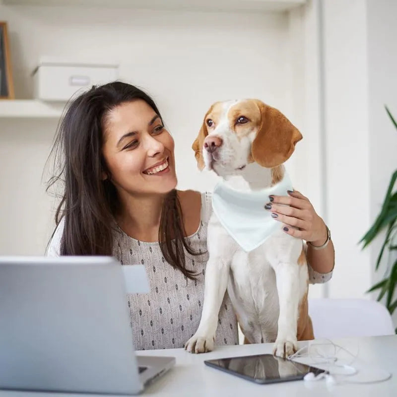 Blank white polyester dog scarf shown flat with dimensions for four size options available for thermal transfer customisation