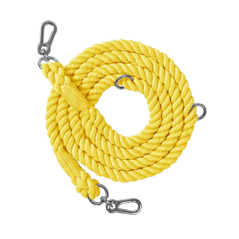 Woven rainbow coloured dog leash with clips at both ends, shown in a choice of colours with silver or gold fittings.