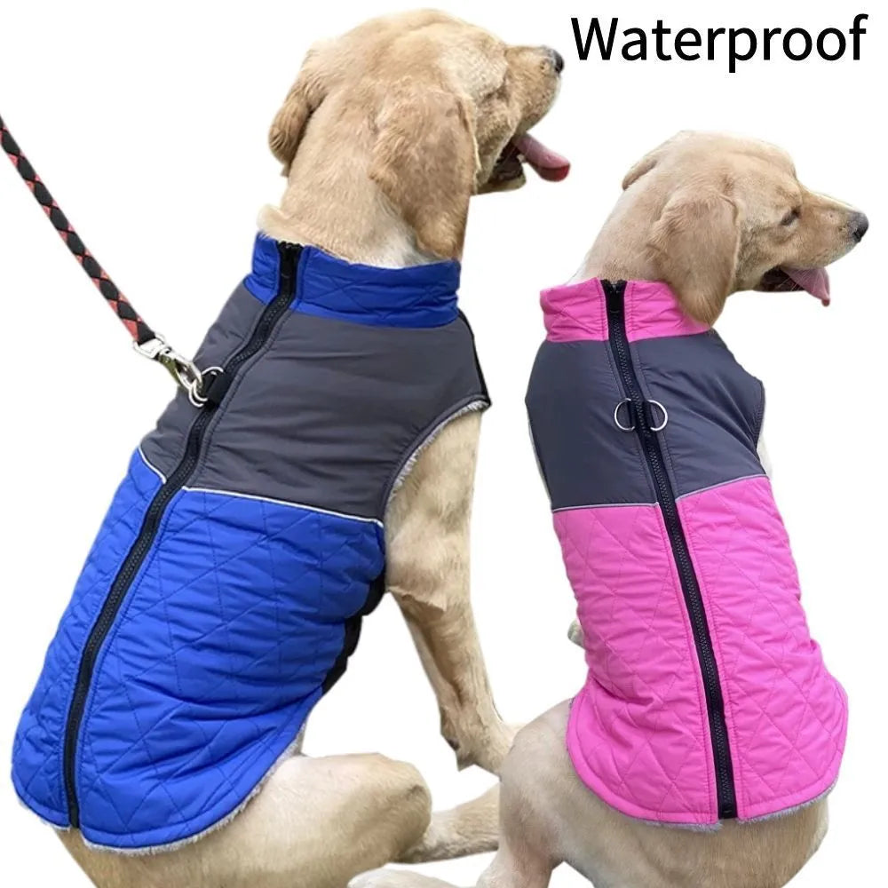 Waterproof polyester chest back dog coat in wine red for autumn and winter walks