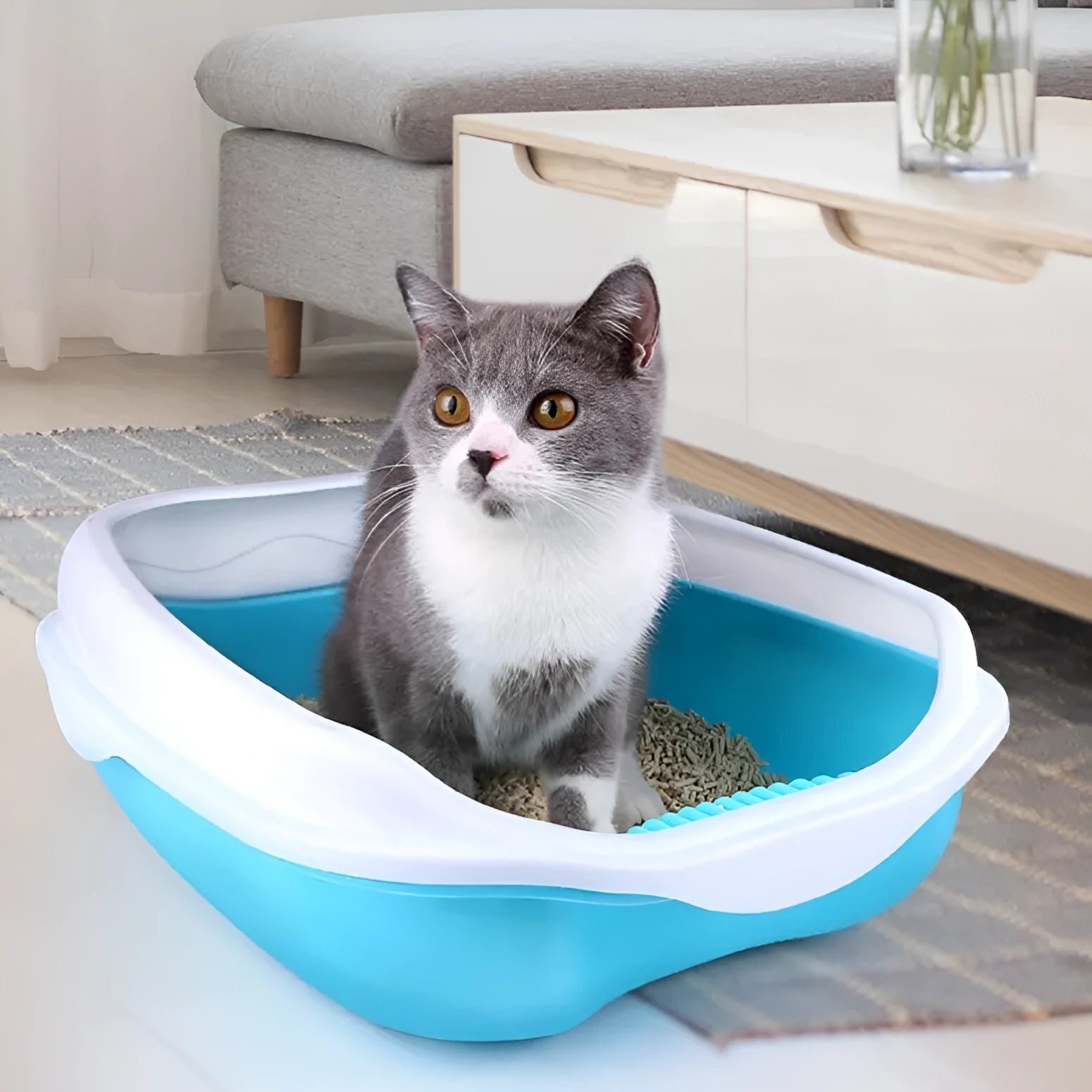 Semi enclosed thickened plastic cat litter box in blue with cat shovel, large size 46x36x17.5 cm