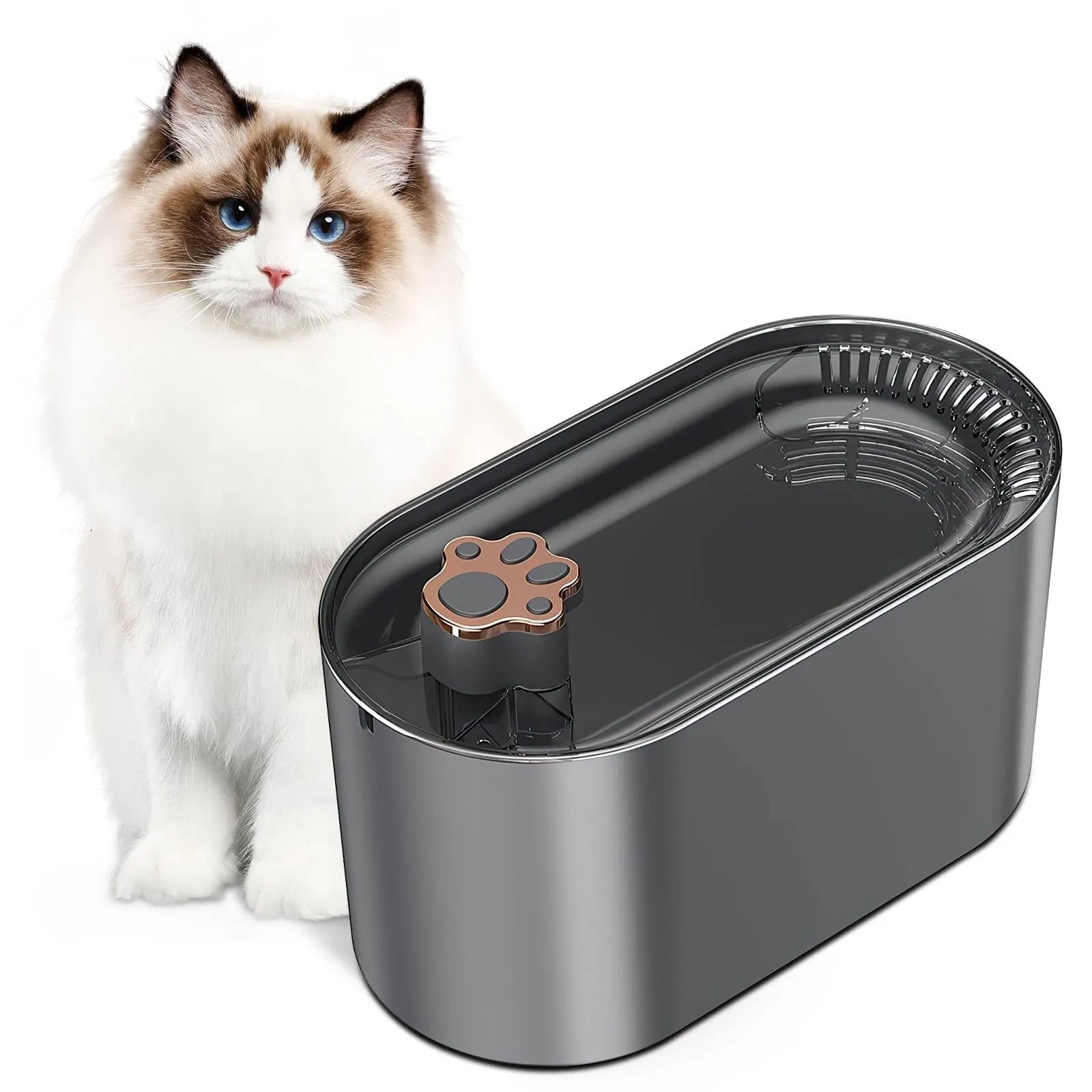 Berlin blue automatic pet water fountain with 3-litre capacity and LED indicator light