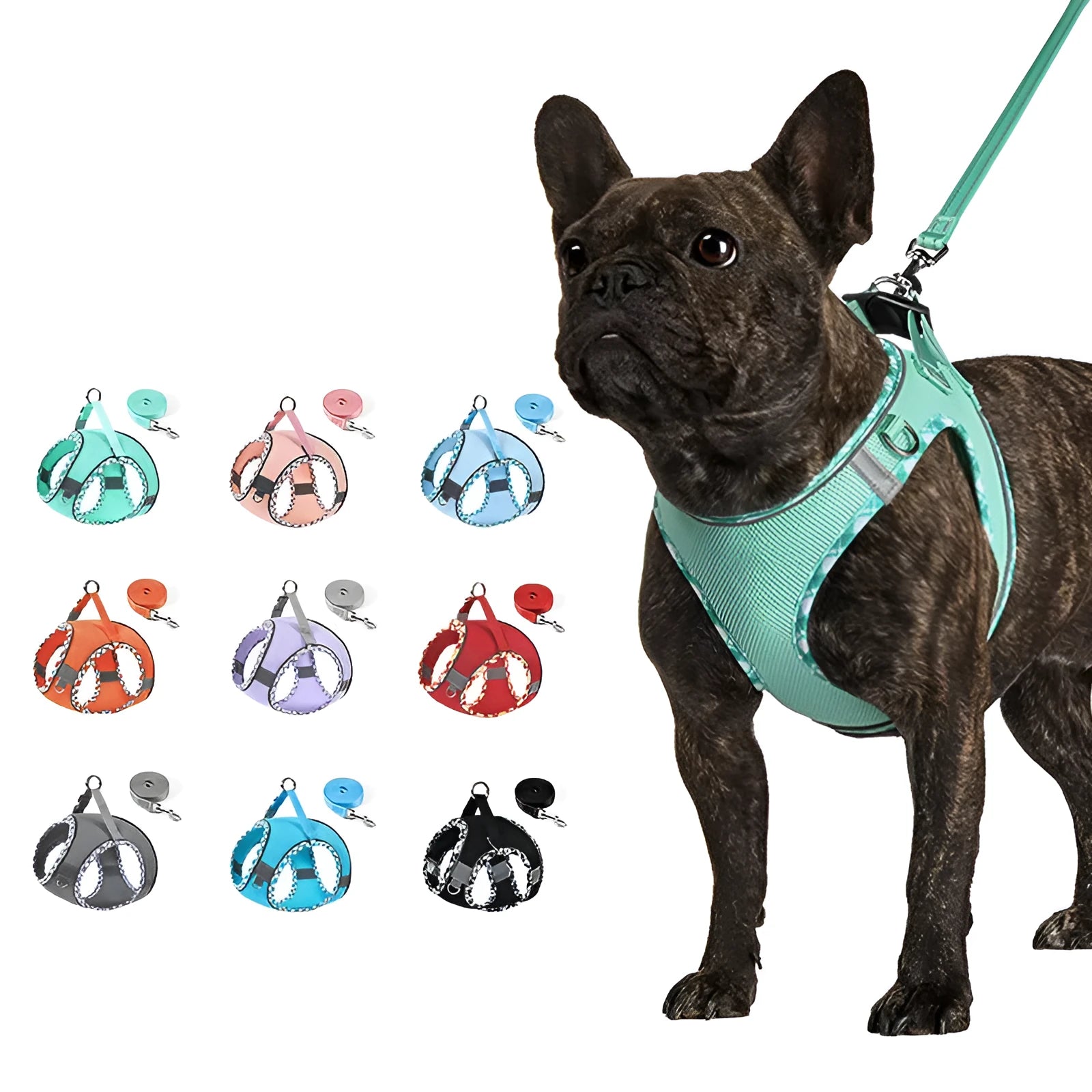 Step-in dog harness with leash in breathable mesh with reflective trim